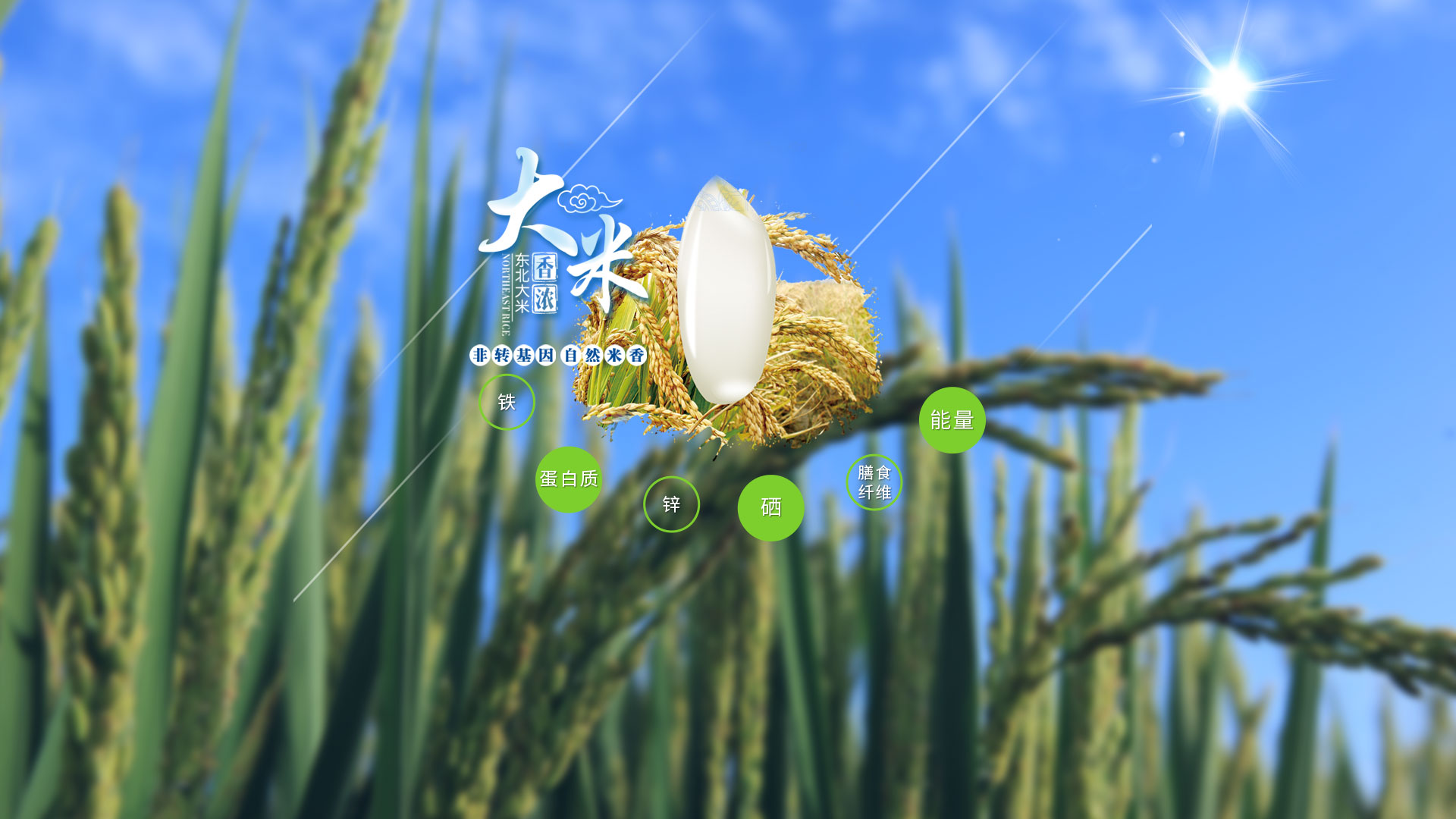 盐丰大米